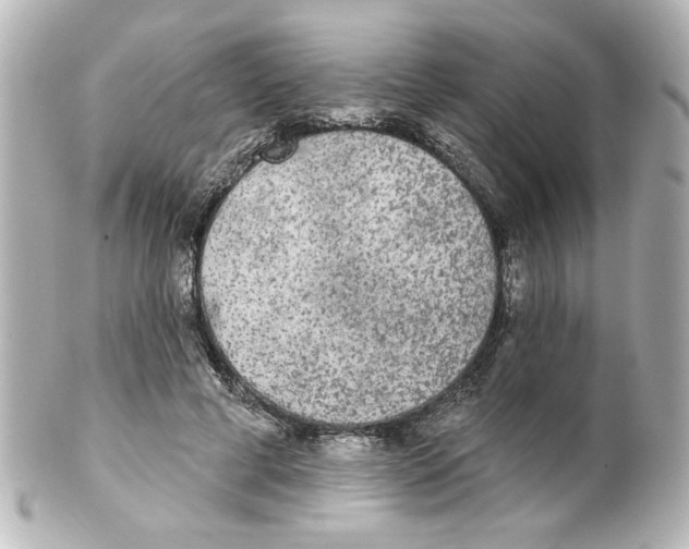 X0000101450593200808041020