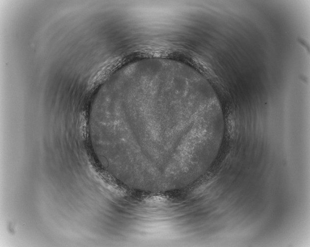 X0000101450594200808041020