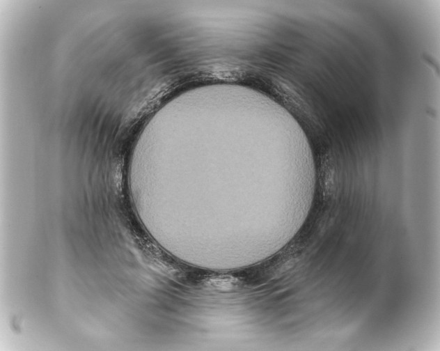 X0000101450595200808041020