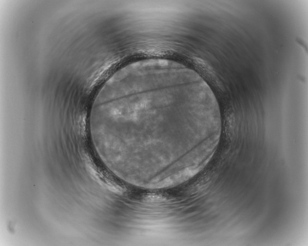 X0000101450596200808041020