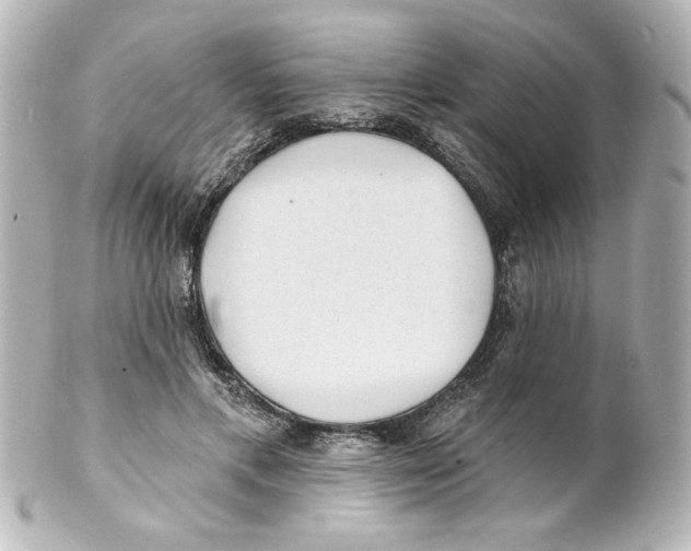 X0000101450597200808041020