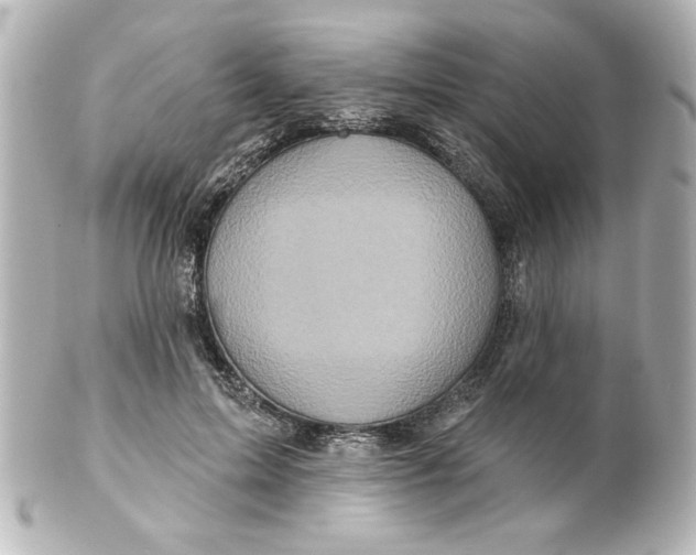 X0000101450599200808041020