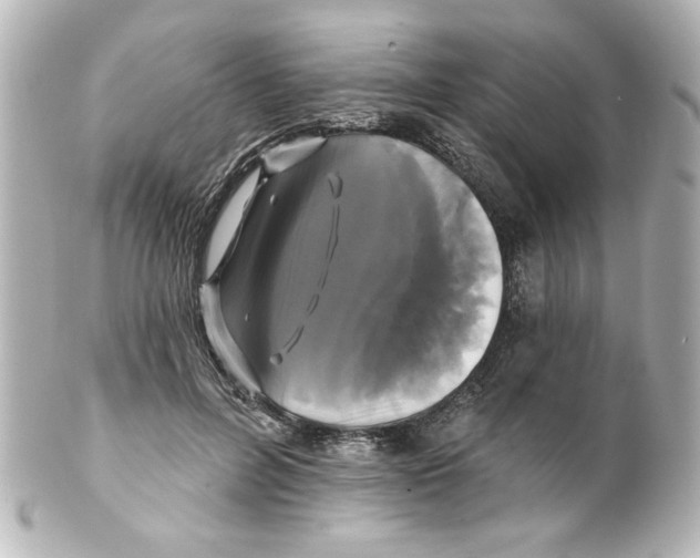 X0000101450600200808041020