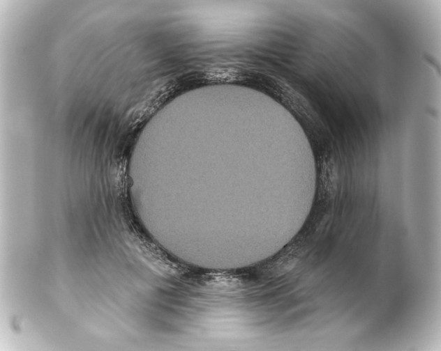 X0000101450601200808041020