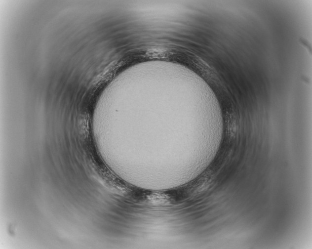 X0000101450603200808041020