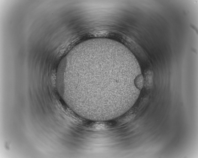 X0000101450604200808041020