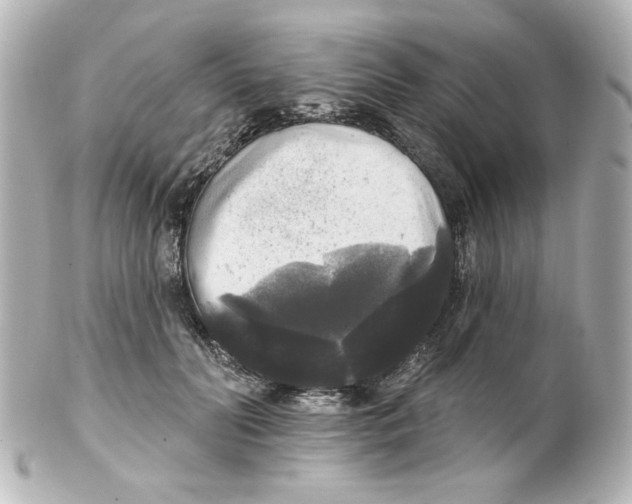 X0000101450606200808041020