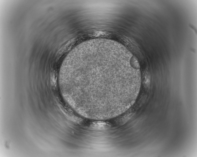 X0000101450607200808041020