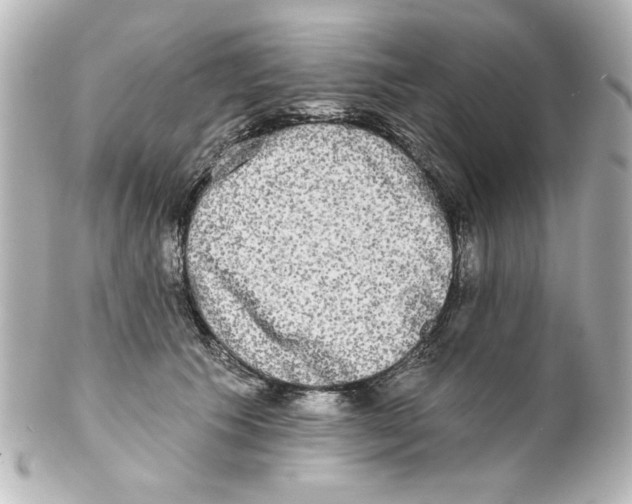 X0000101450609200808041020