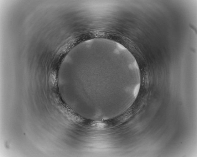 X0000101450610200808041020