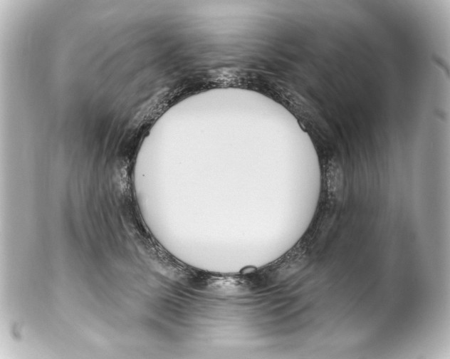 X0000101450611200808041020