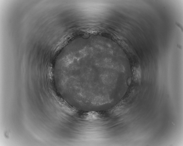 X0000101450612200808041020