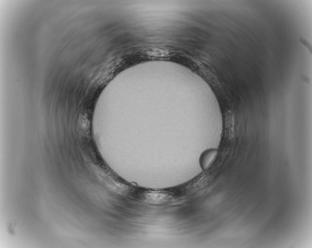 X0000101450614200808041020