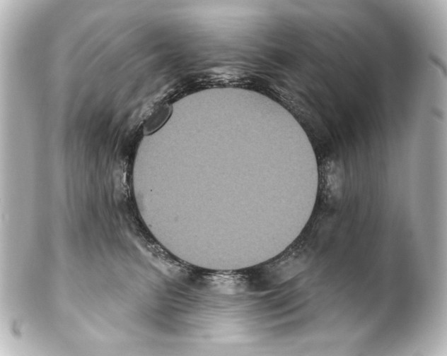 X0000101450615200808041020