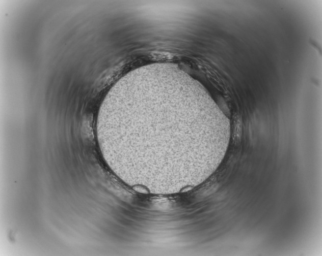 X0000101450616200808041020