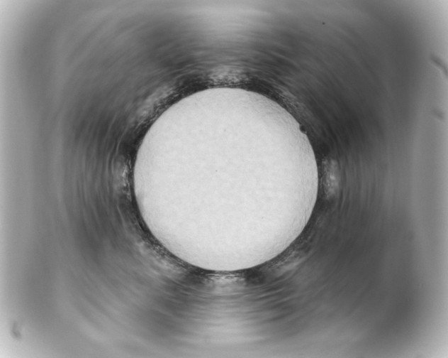 X0000101450619200808041020