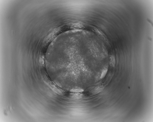 X0000101450621200808041020