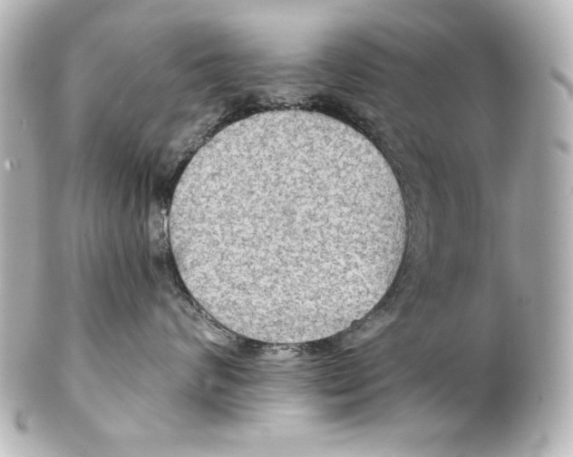 X0000101450624200808041020