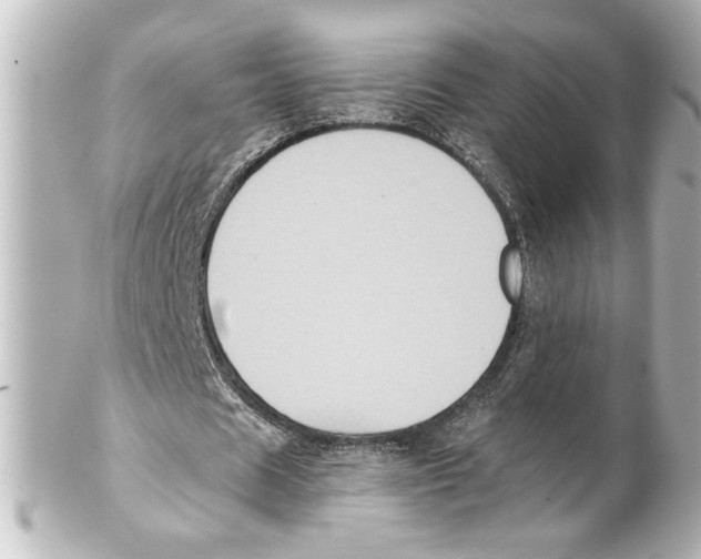 X0000101450625200808041019