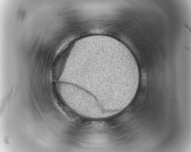 X0000101450626200808041019