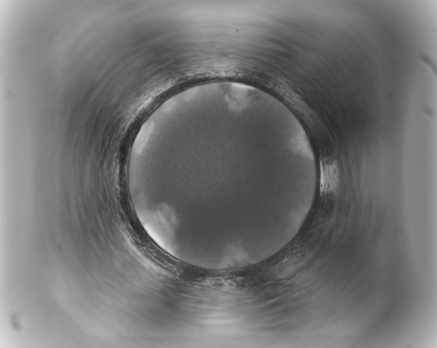 X0000101450627200808041019