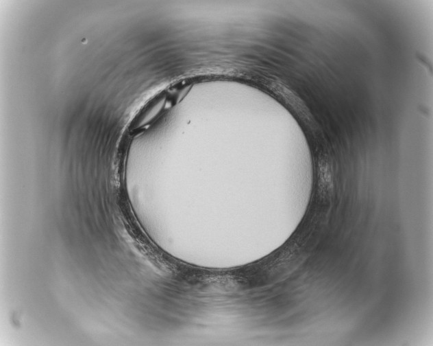 X0000101450628200808041019