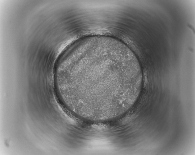 X0000101450630200808041019