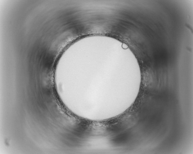 X0000101450632200808041019