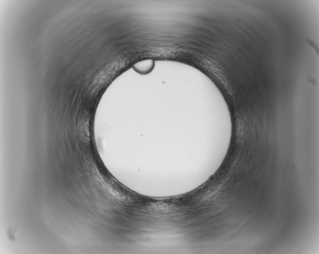 X0000101450633200808041019