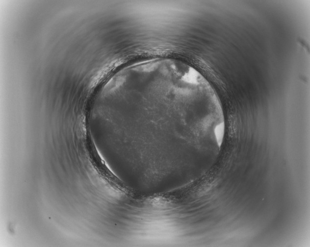 X0000101450634200808041019