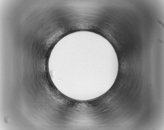 X0000101450635200808041019