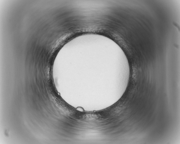 X0000101450636200808041019