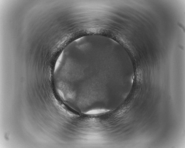 X0000101450637200808041019