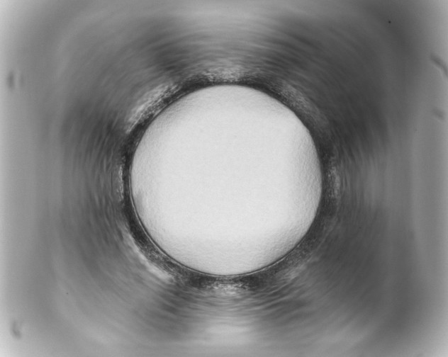 X0000101450638200808041019