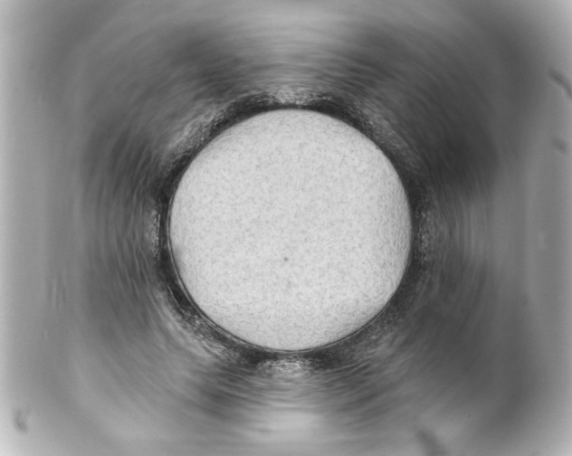 X0000101450639200808041019