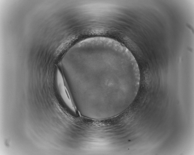 X0000101450640200808041019