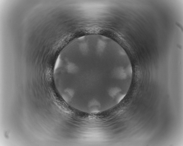 X0000101450641200808041019