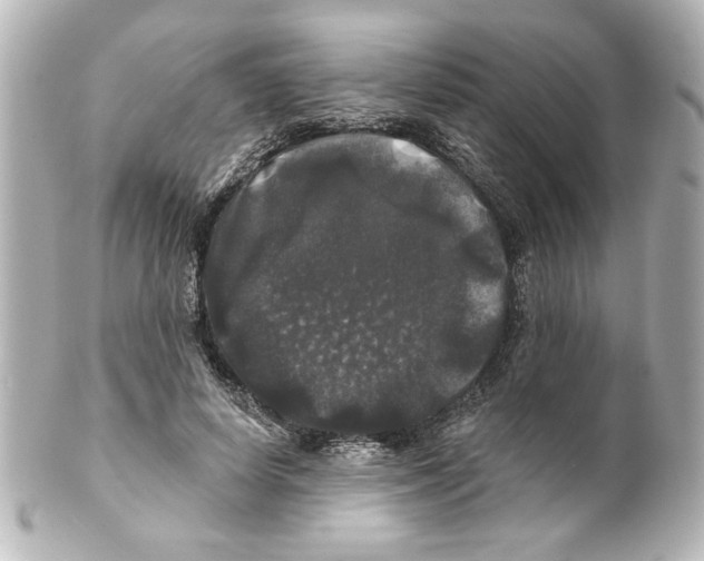 X0000101450642200808041019