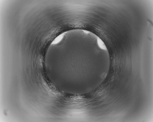 X0000101450643200808041019