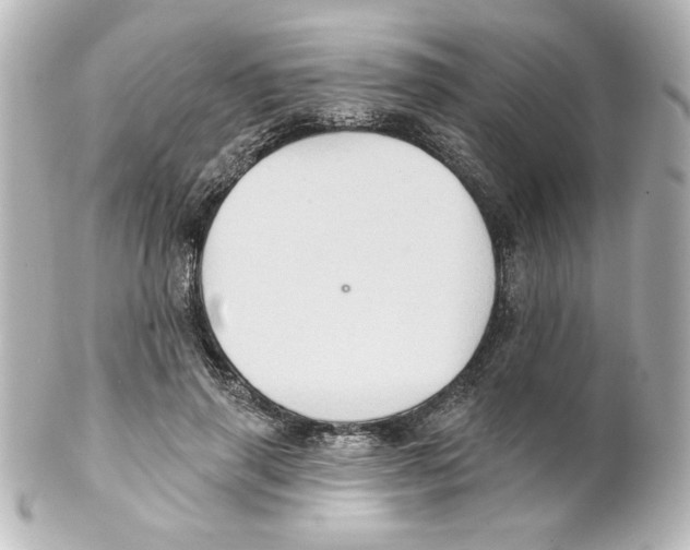 X0000101450645200808041019