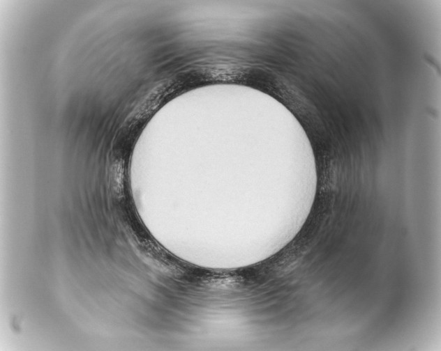 X0000101450646200808041019