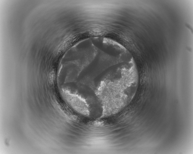 X0000101450647200808041019