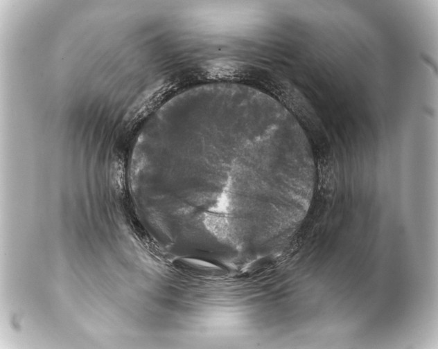 X0000101450648200808041019