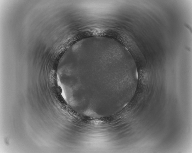 X0000101450650200808041019