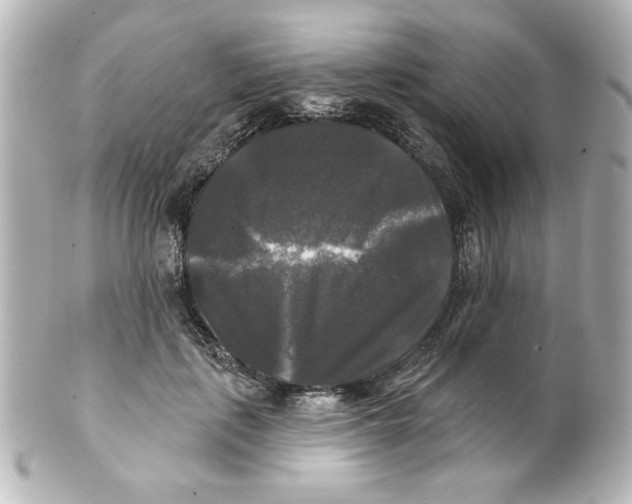 X0000101450651200808041019