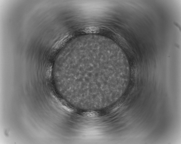 X0000101450652200808041019