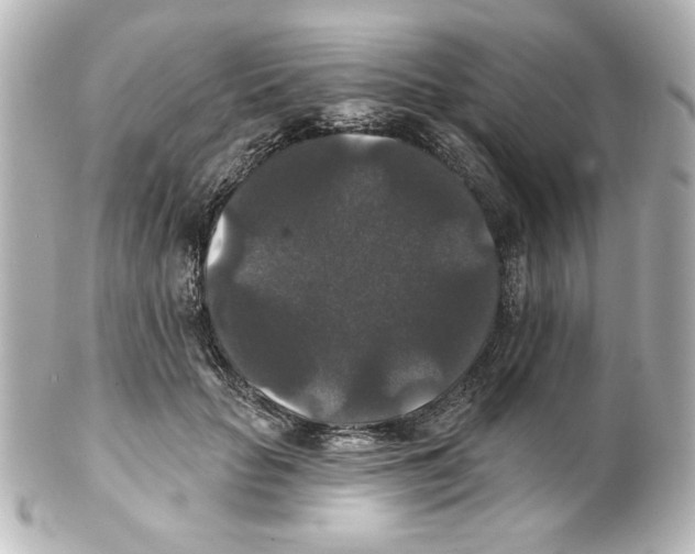 X0000101450653200808041019