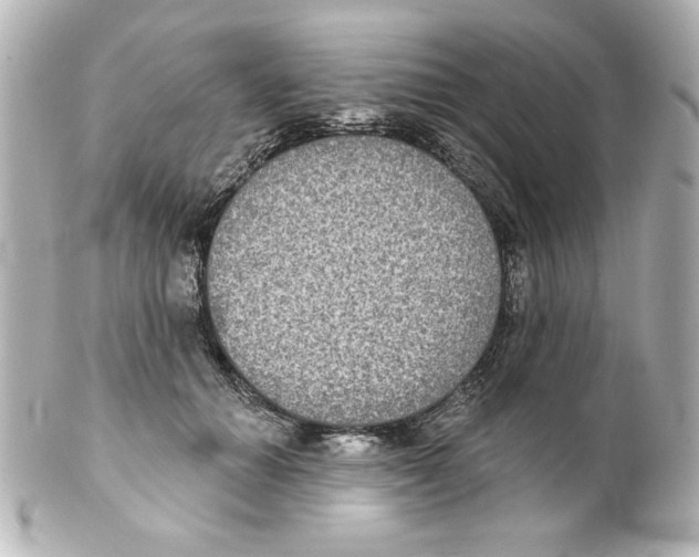 X0000101450654200808041019