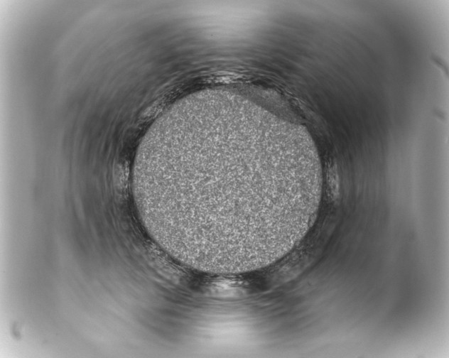 X0000101450657200808041020