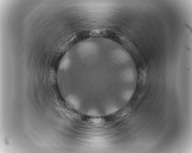 X0000101450659200808041020